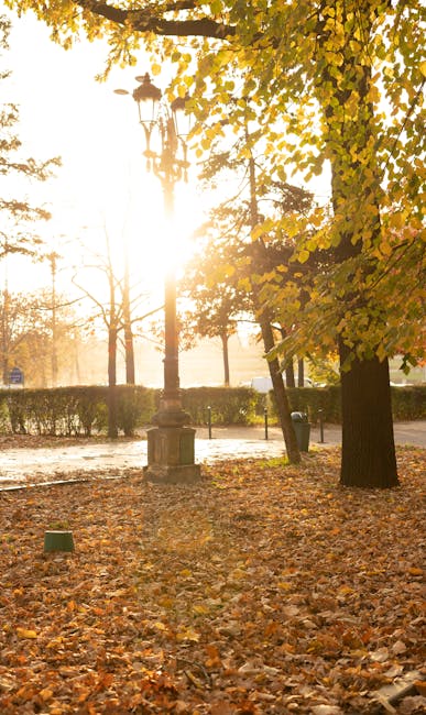 Vremea pe 5 octombrie 2026: Soare și temperaturi record în toată țara