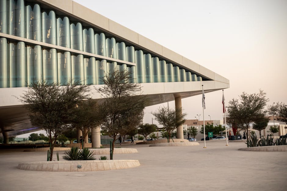 Români repatriați din Qatar: o călătorie de neuitat spre casă