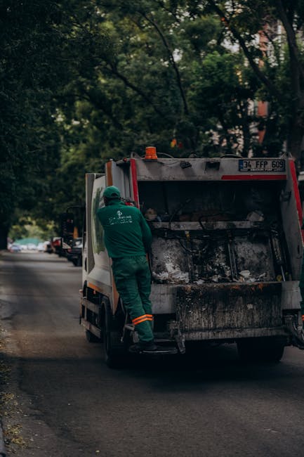 Control riguros al eco-insulelor din Baia Mare: ce nereguli au fost descoperite