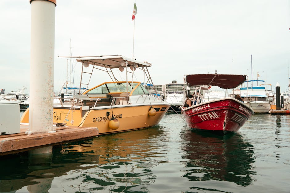 Descoperire incredibilă pe plaja din Cabo San Lucas: pești uriași au stârnit controverse