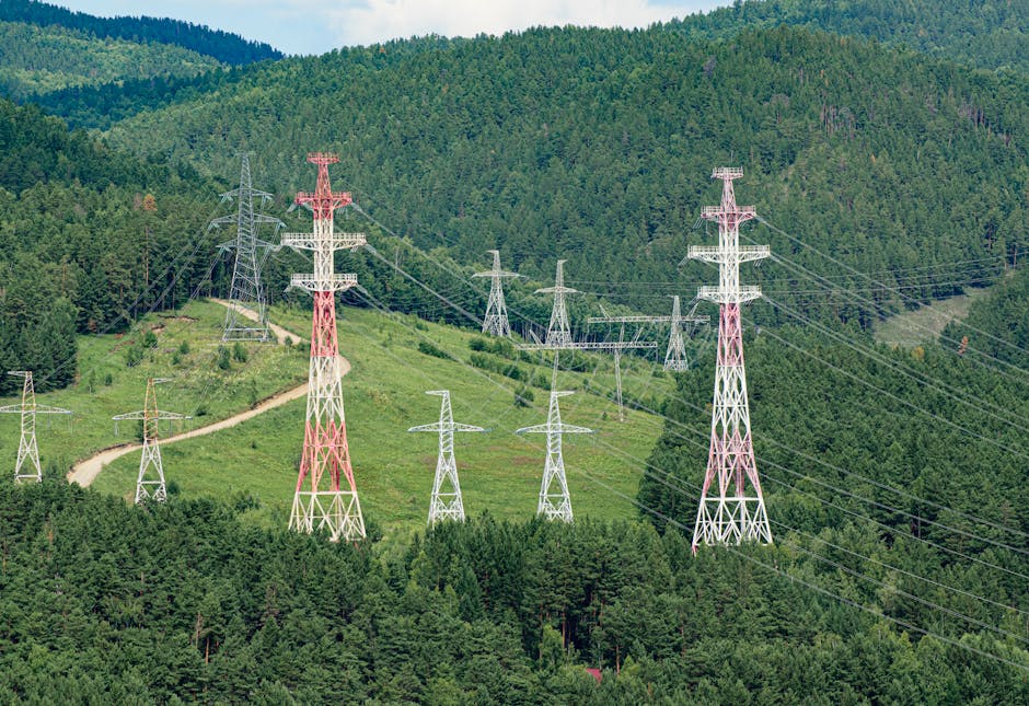 Discuții esențiale între primarii din Brașov și DEER pentru viitorul energiei electrice