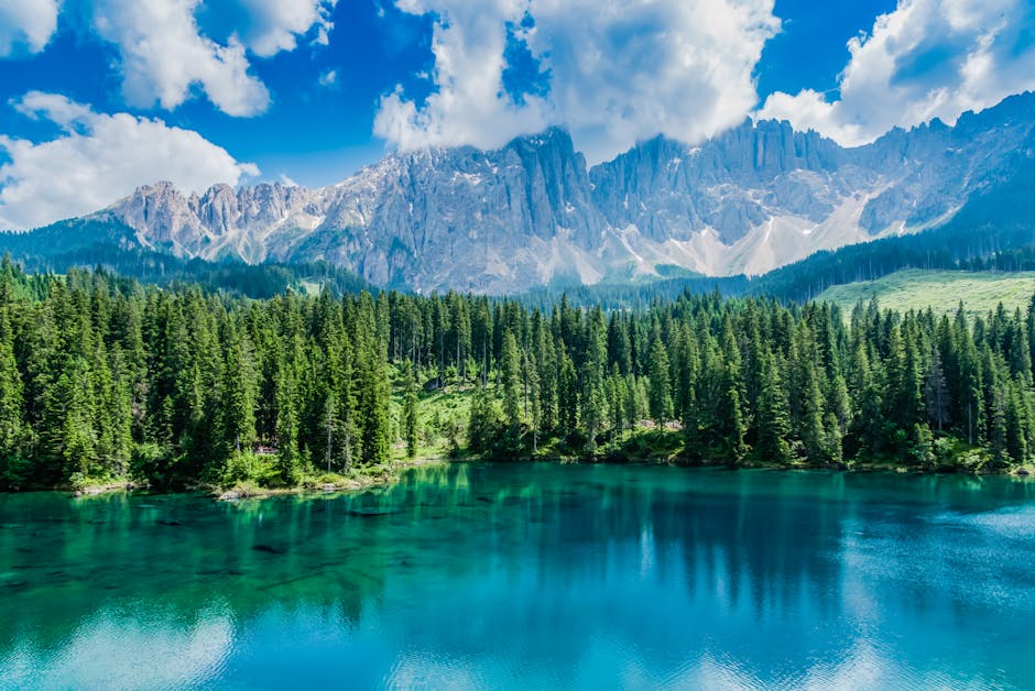 Descoperiri surprinzătoare în pădurile Maramureșului