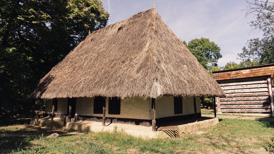 Muzeul Satului Bănățean investește 700.000 de lei pentru restaurarea acoperișurilor tradiționale