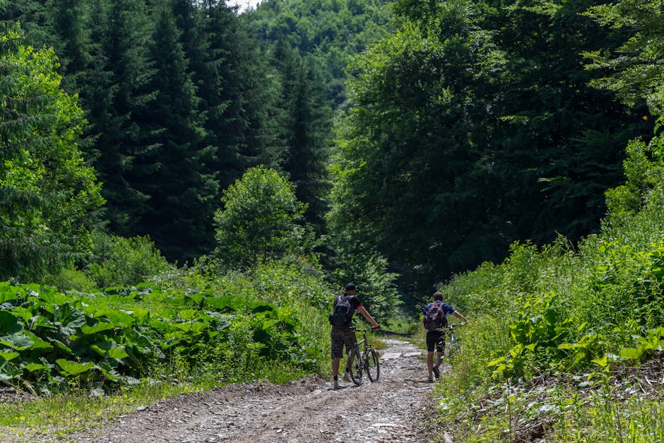Descoperă noul traseu de drumeție de lângă Bacău - perfect pentru iubitorii de natură