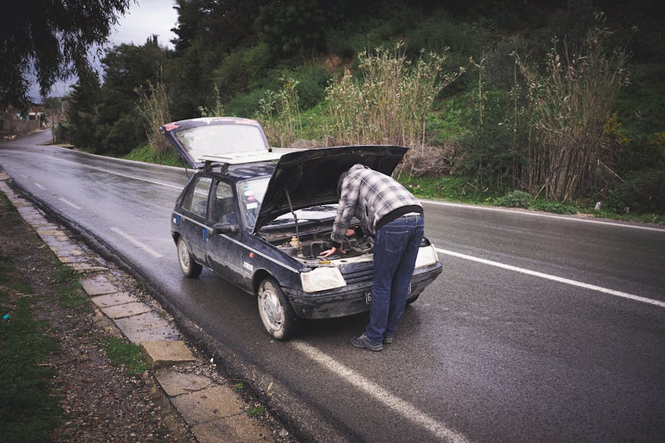 Atenție călători: Podul Prieteniei Ruse-Giurgiu închis pentru reparații