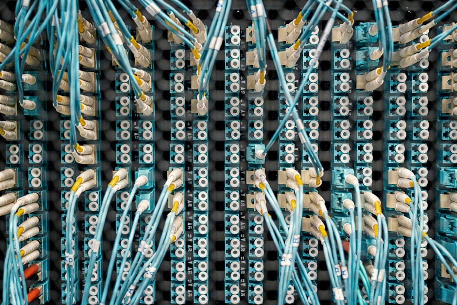 Lucrări informatice în sistemul penitenciar: telefonia și cumpărăturile online afectate timp de 12 ore