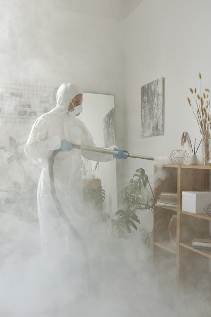 Activitatea SC Frost Paper SRL suspendată temporar din cauza neregulilor de igienă grave