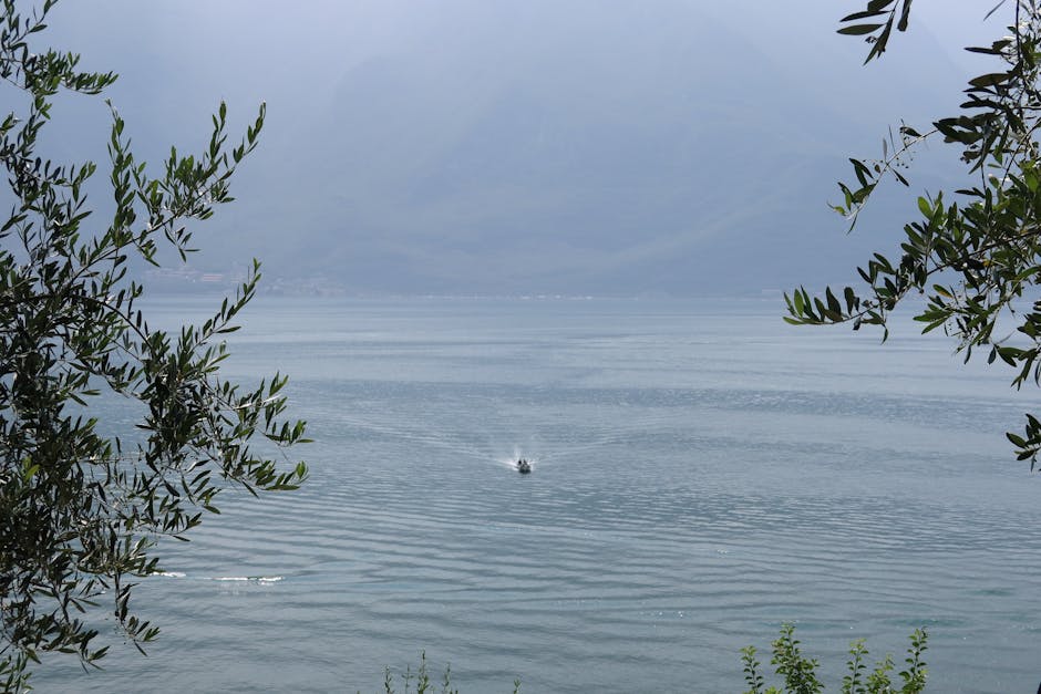 Ministerul Mediului asigură locuitorii din Vâlcea: lacul Brădișor nu va fi golit fără alternative de apă