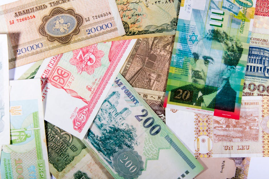 Euro atinge noi culmi: cursul leu-euro depășește 5,35 lei
