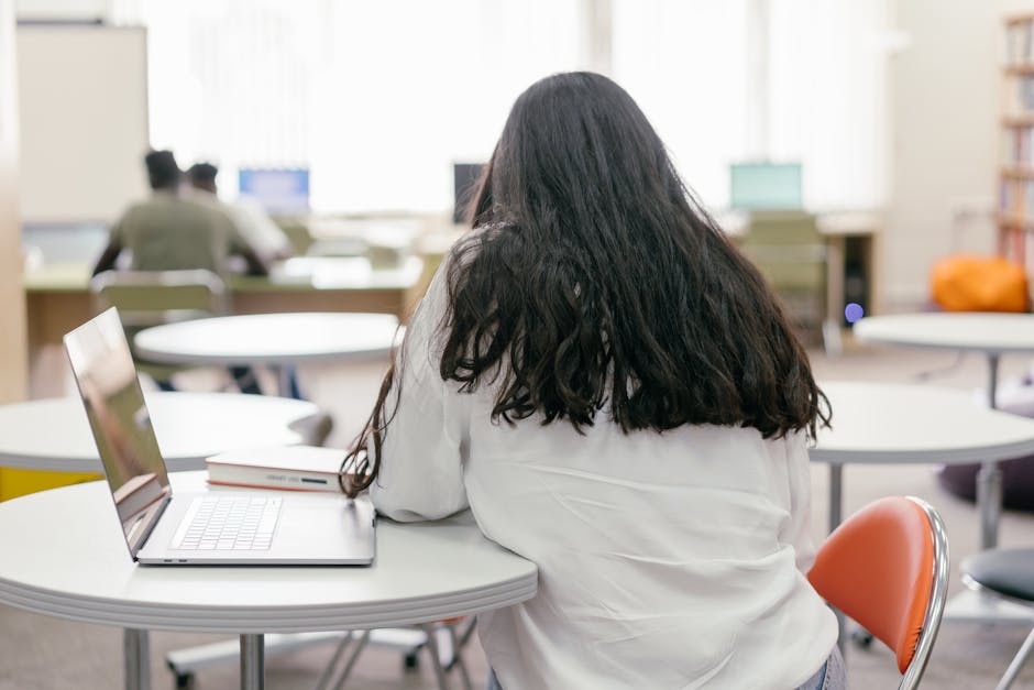 Cum să îți înfrunți examenele cu ajutorul Bibliotecii Județene Sălaj
