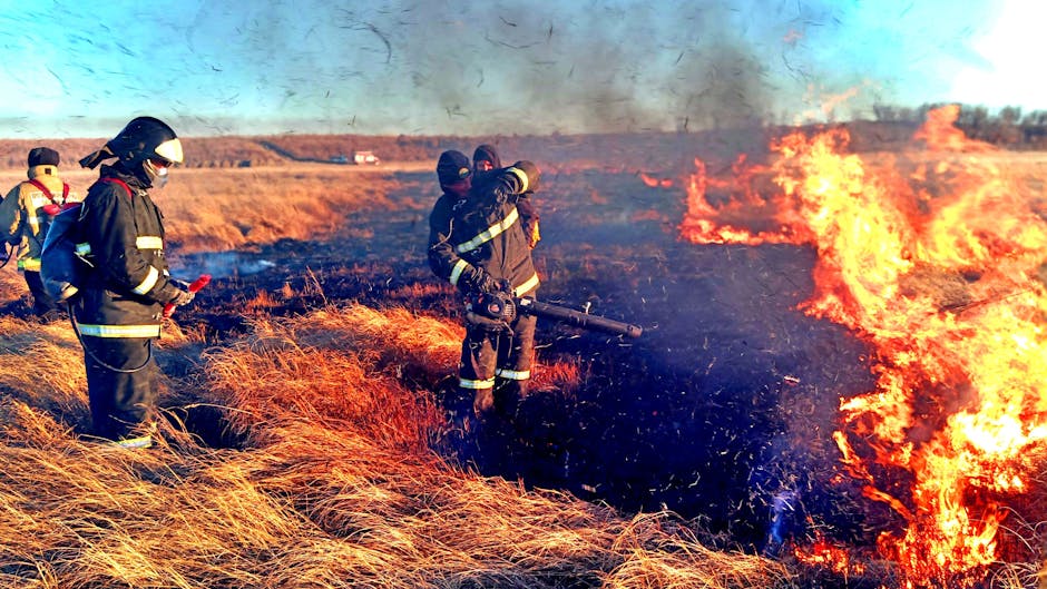 Pompierii arădeni, în acțiune pentru a stinge incendiile din Serbia