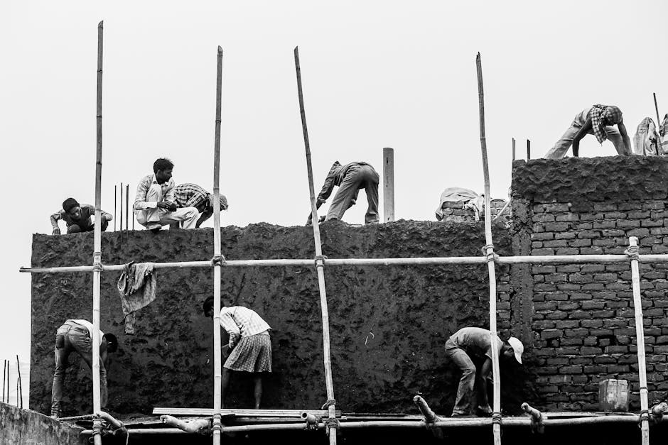 Transformarea RPC Group: De la construcții private la lucrări publice