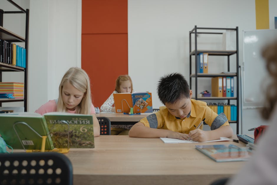 Ministerul Educației stabilește o nouă regulă: manualele de liceu vor fi folosite timp de 8 ani