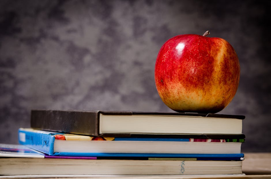 Anul școlar începe cu incertitudini majore în rândul profesorilor