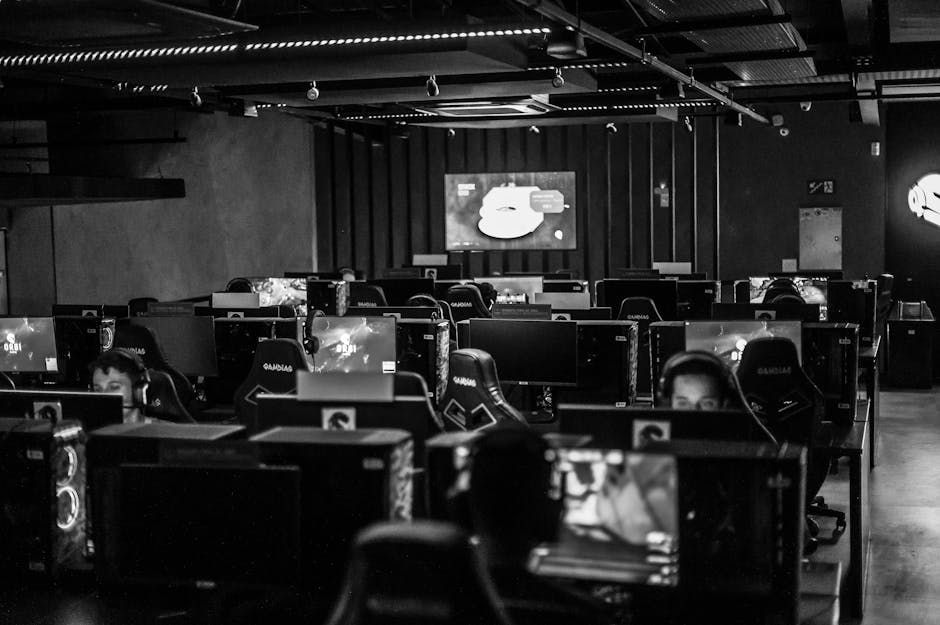 Viața captivantă a gamerilor profesioniști din România: Premii de zeci de mii de euro