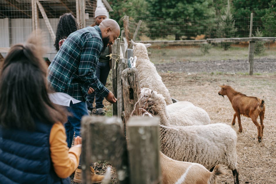 Redeschiderea Blaga’s Farm: o după-amiază de neuitat alături de animale