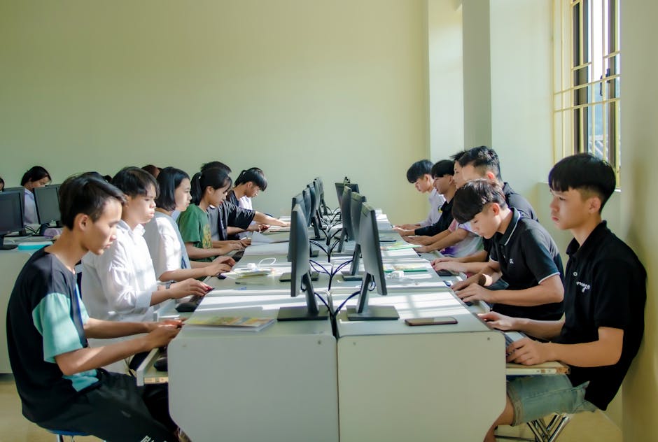 30 de elevi de la Colegiul Național „Eudoxiu Hurmuzachi” au învățat despre educația media în cadrul unei școli de vară