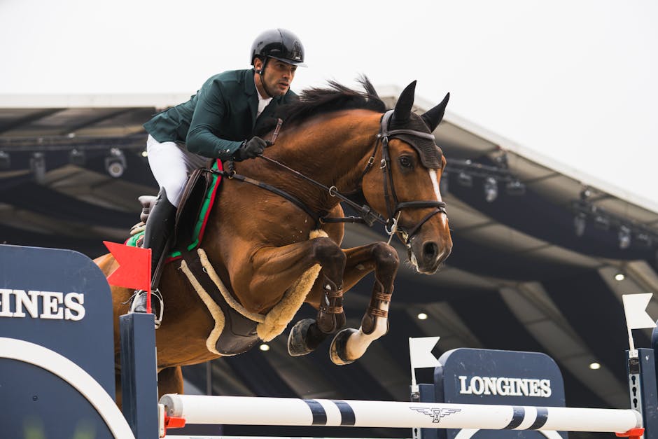 Evacuarea spectaculoasă a 147 de cai de elită din Qatar: o operațiune fără precedent
