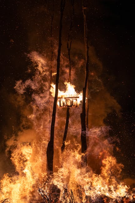 Incendii devastatoare în Caraș-Severin: 70 de hectare afectate și locuințe distruse