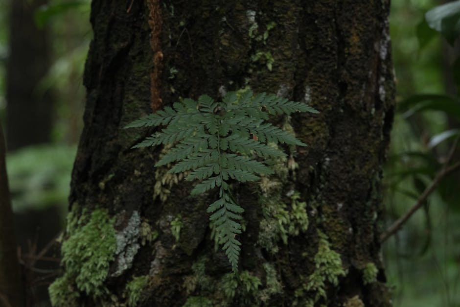 Bistrițenii sunt invitați la o acțiune de plantare de arbori în Sărata
