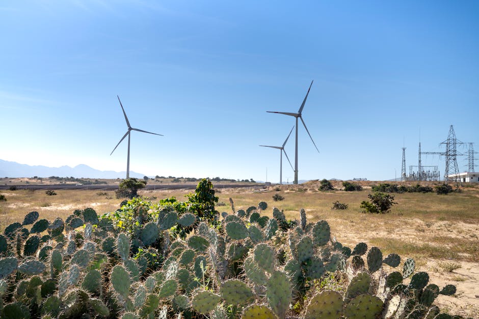 Sincronizarea centralei de la Mintia, un pas major pentru energia națională