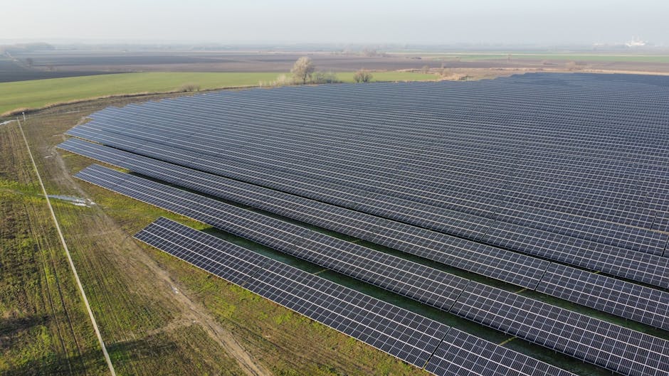 Bihorul, lider în energia solară: aproape 16.000 de prosumatori și o putere instalată de 164 MW
