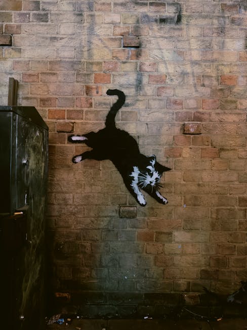 Costurile uriașe ale întreținerii operelor lui Banksy în Marea Britanie