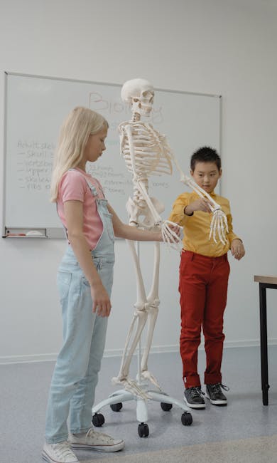 Descoperă oportunitățile educaționale la UMFST Târgu Mureș în această vară