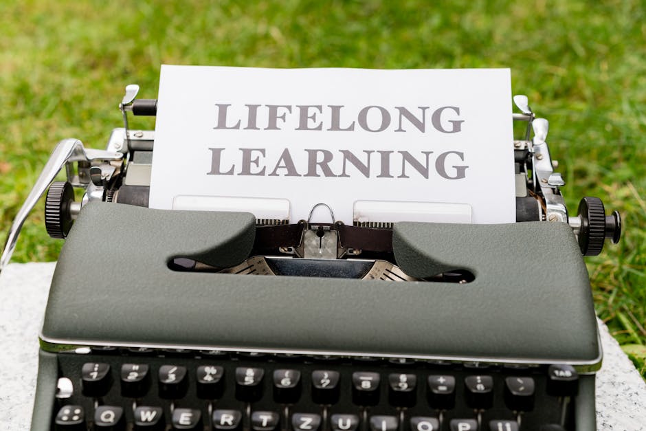 USV lansează cursurile LIFECED pentru educația adulților în regiunea transfrontalieră