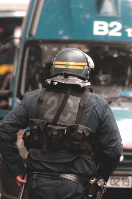 Transporturi ilegale de lemn descoperite: poliția din Neamț acționează decisiv