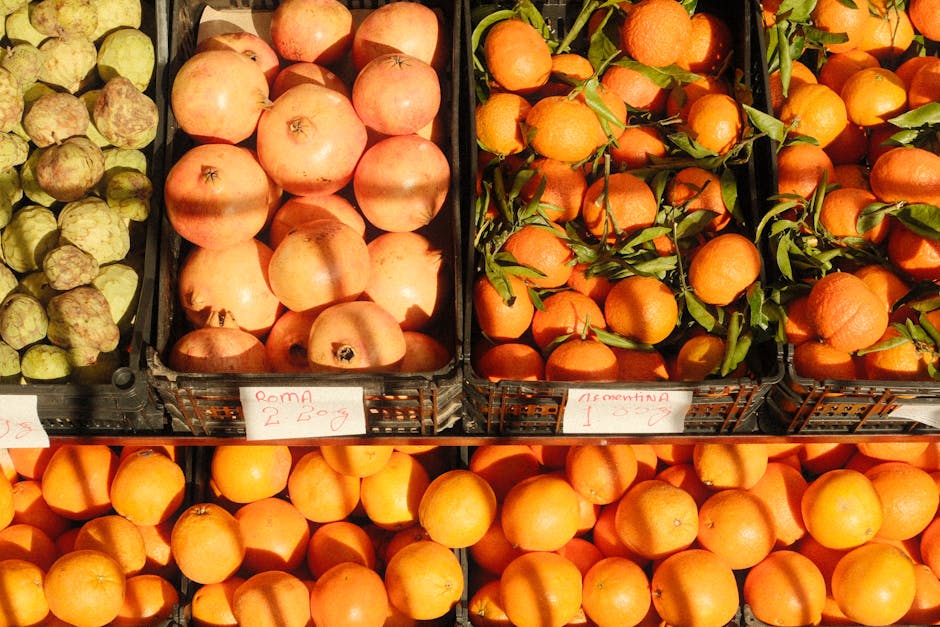 Descoperiri importante în Polonia pentru dezvoltarea agriculturii din Sălaj
