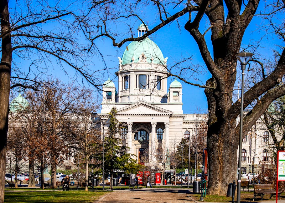 Reșița își îmbunătățește spațiile verzi prin plantări de arbori în Centrul Civic