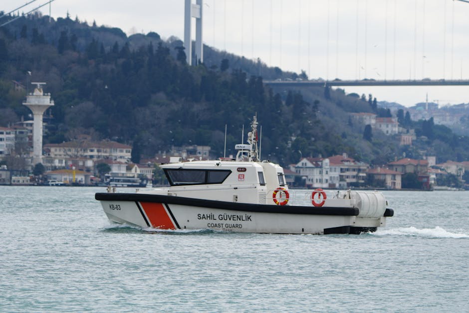 State europene unite pentru securitatea navigației în strâmtoarea Ormuz