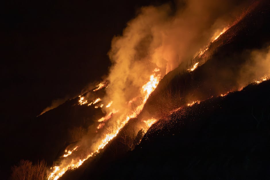 Firestorm: Canada faces over 800 wildfires as smoke engulfs North America and Europe