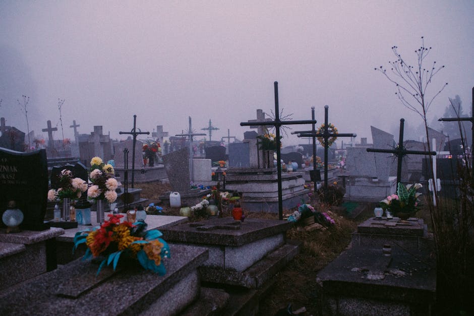 Cercetări în cazul profanării unei mormânt în Cimitirul Sineasca