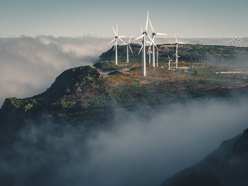 Portugalia introduce măsuri pentru a limita prețurile la energie în caz de criză