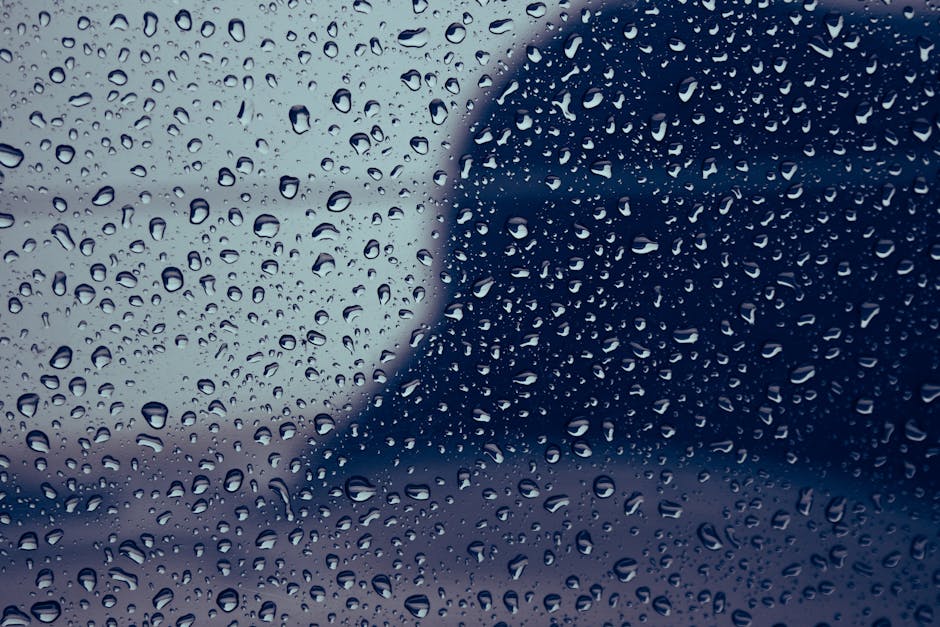 Atenționare meteo: vânt puternic și ploi în 13 județe din România