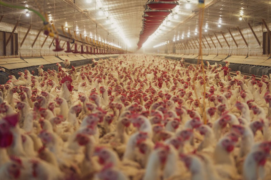 Exporturile românești către China: o nouă eră pentru agricultura locală