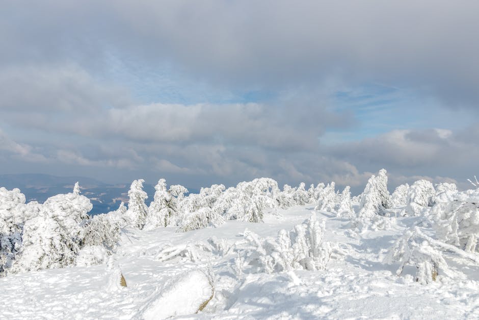 Previziuni meteo pentru 13 octombrie: vreme rece, ploi și ninsori în România