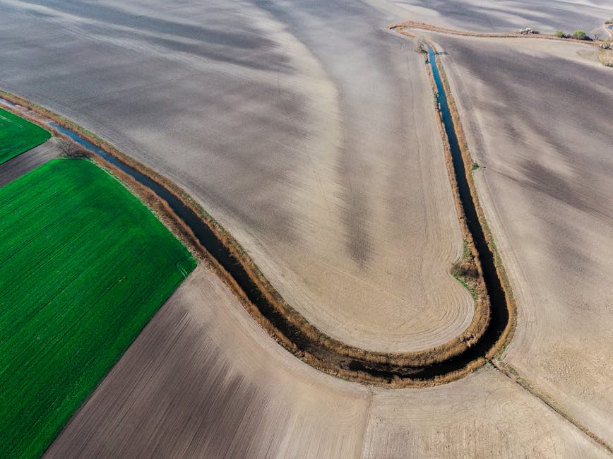 Seceta severe pe Dunăre: 55.000 de hectare de culturi agricole în pericol
