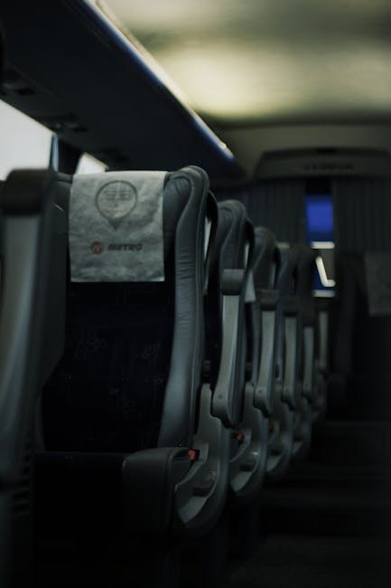 Experiențe de neuitat cu BDG Transport: Călătorii care fac diferența