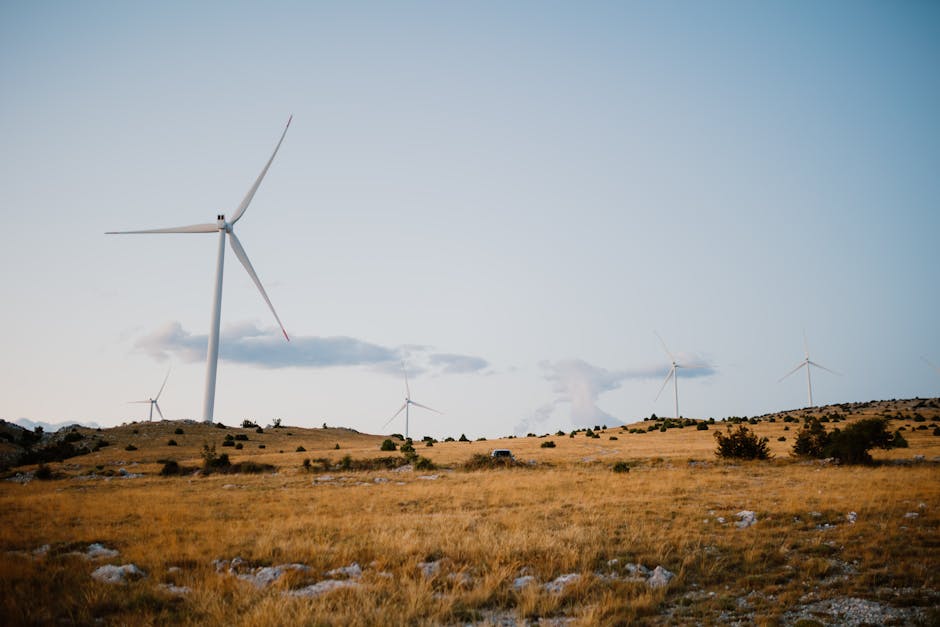 Profit record pentru compania energetică de stat: creștere semnificativă în primele semestre