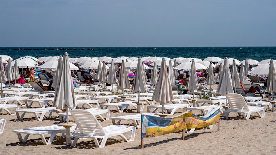 Rezultatele licitației plajelor din Năvodari: cine sunt câștigătorii și ce sectoare au rămas neatractive