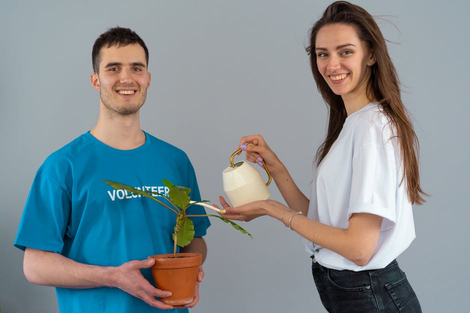 Satu Mare radiază de fericire: Voluntarii Crucii Roșii aduc zâmbete în oraș