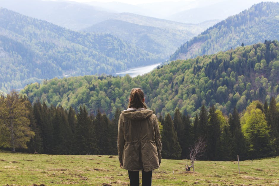 Redescoperă Valea Jiului: 30 de experiențe turistice unice te așteaptă!