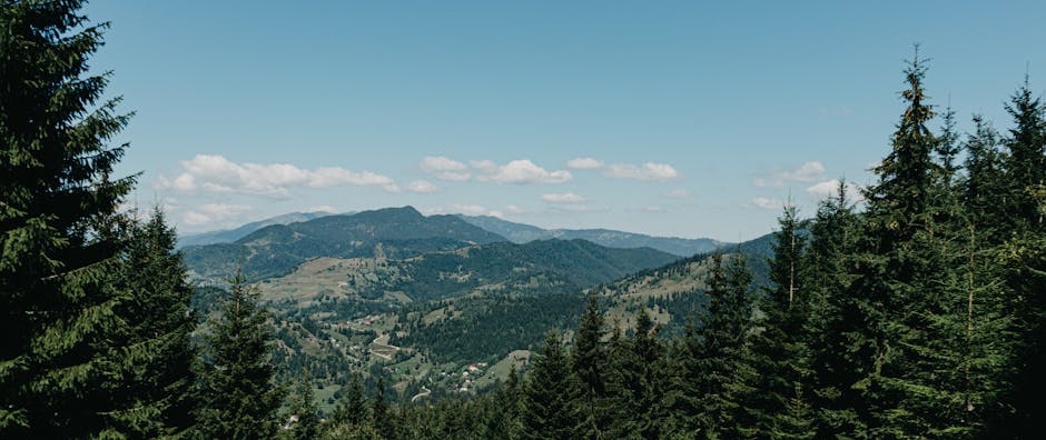 Descoperă Borșa: o destinație de vis, indiferent de sezon