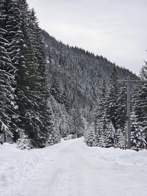 Turiști blocați pe Transalpina, salvați de jandarmi