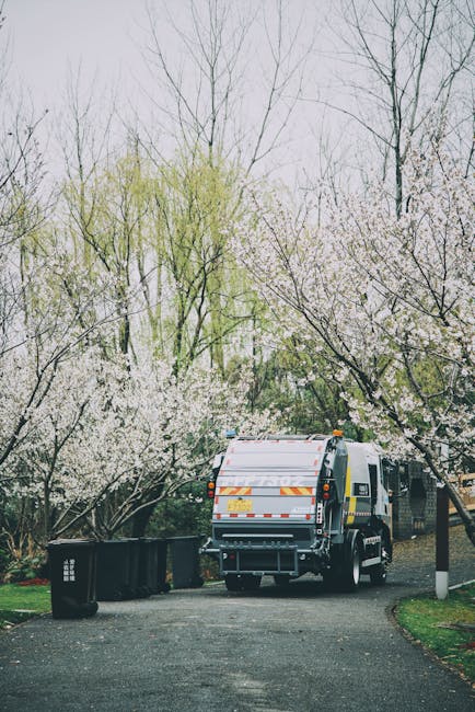 Colectarea deșeurilor vegetale în Sebeș: tot ce trebuie să știți