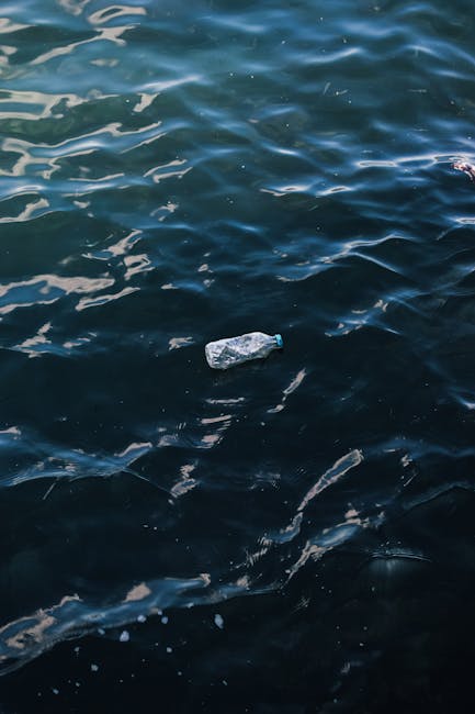 Cum a reușit un artist să construiască o insulă din sticle de plastic și ce s-a întâmplat apoi