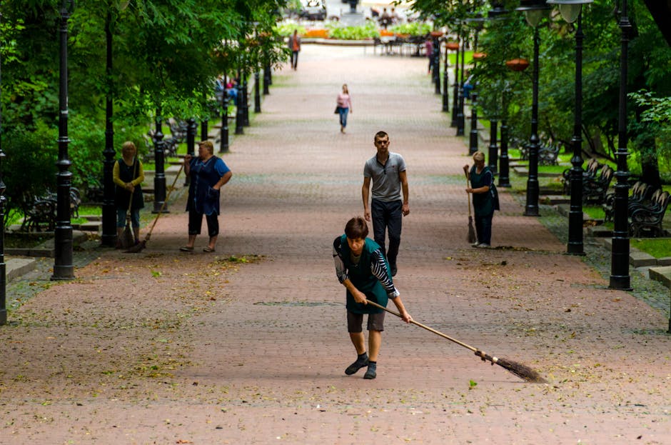Timișoara reintră în curățenie: amenzi pentru parcarea necorespunzătoare